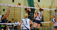 Galeria z meczu Chemik - Atom Trefl Sopot